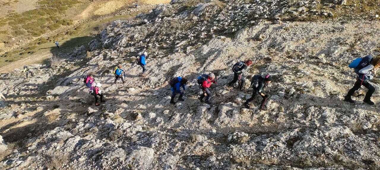 WhatsApp Image 2026-02-10 at 14.47.48 (3)